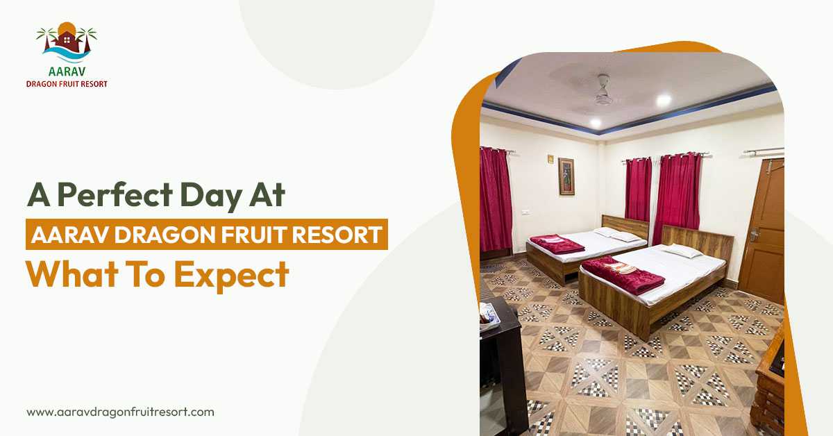 A Perfect Day at Aarav Dragon Fruit Resort: What to Expect