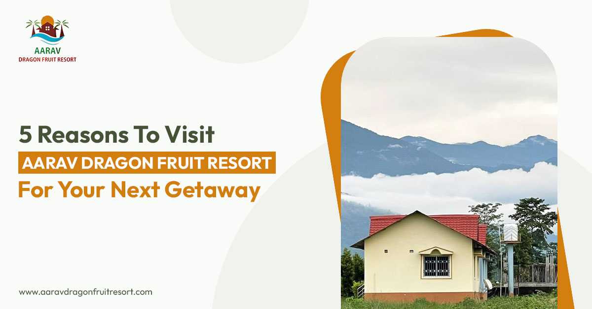 5 Reasons to Visit Aarav Dragon Fruit Resort for Your Next Getaway